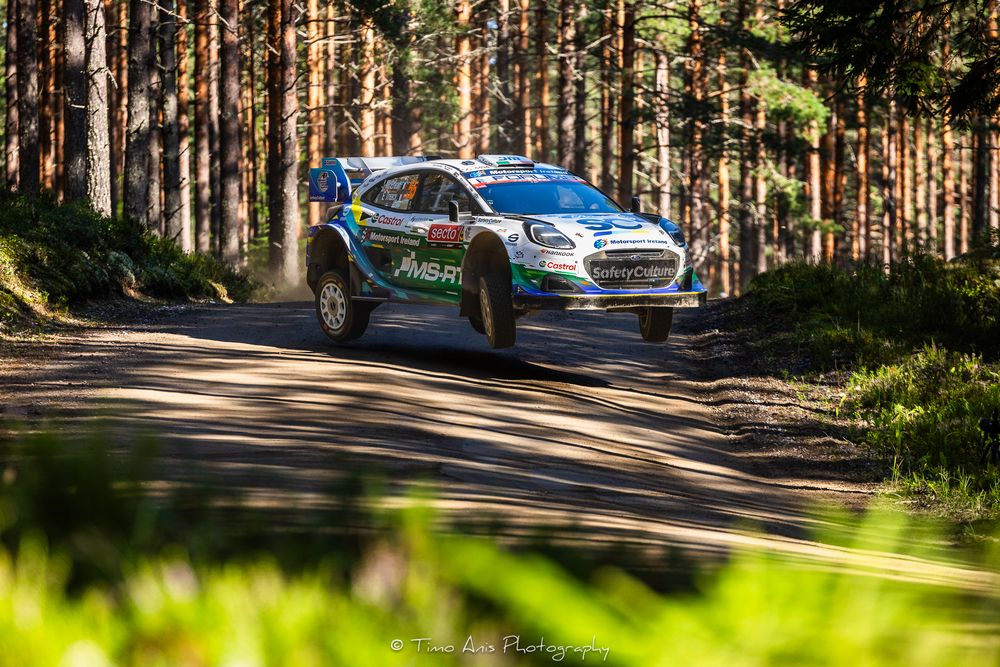 A rally car speeds through a forest stage on a dirt road, kicking up dust among tall pine trees.