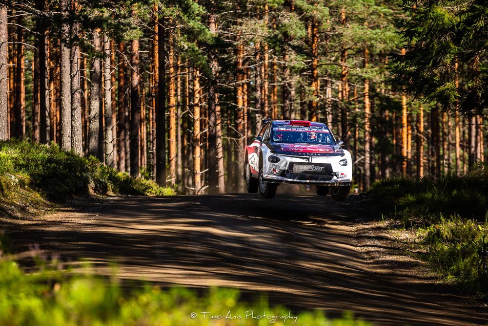A rally car speeds through a forest stage on a narrow gravel road surrounded by tall pine trees in bright sunlight.