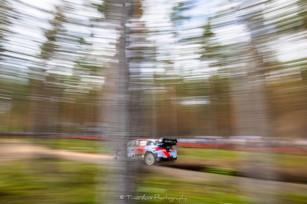 Rally car speeding through a forest stage with motion blur effect capturing dynamic racing action among tall pine trees.