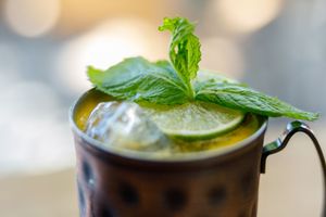 Moscow mule cocktail in copper mug garnished with fresh mint leaves and lime slice.