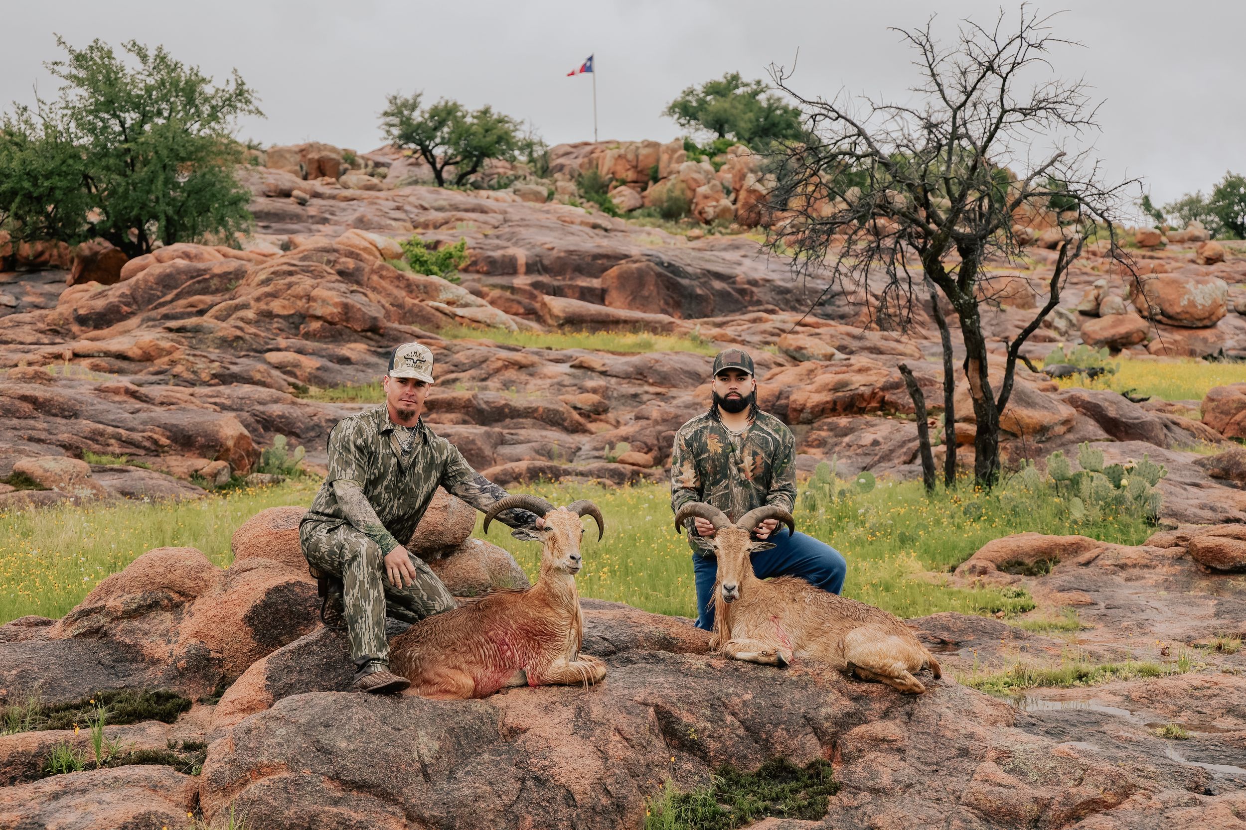 Two hunters posing with harvested rams on rocky landscape under cloudy skies.