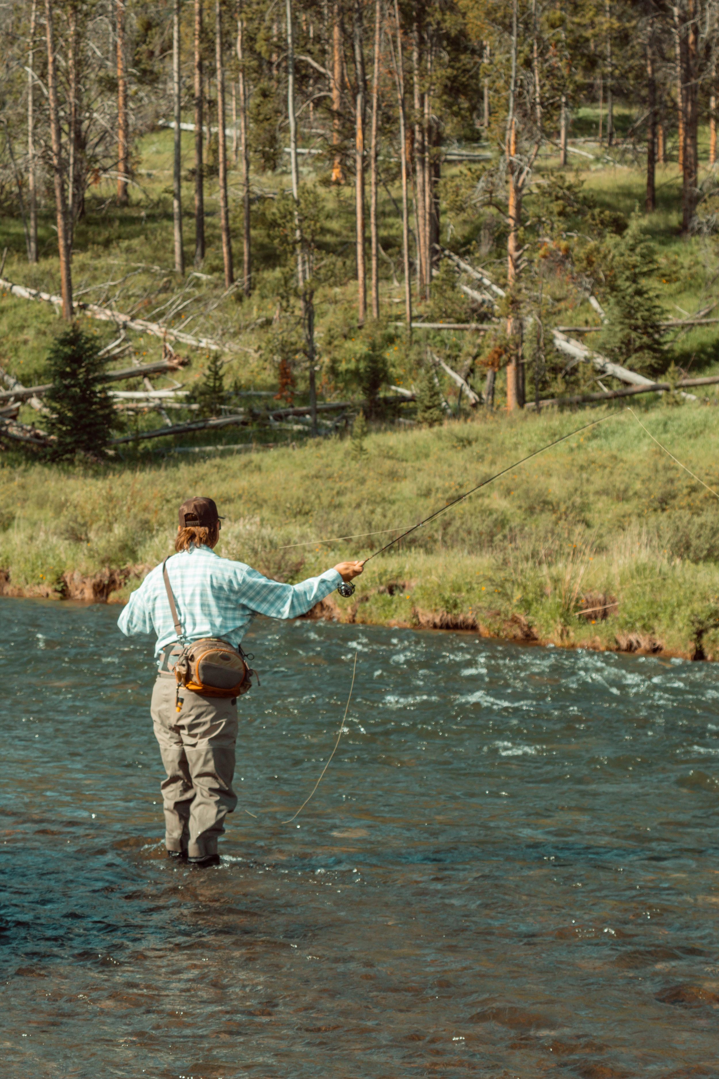 Fly fisherman wading in a clear mountain river surrounded by pine forest.