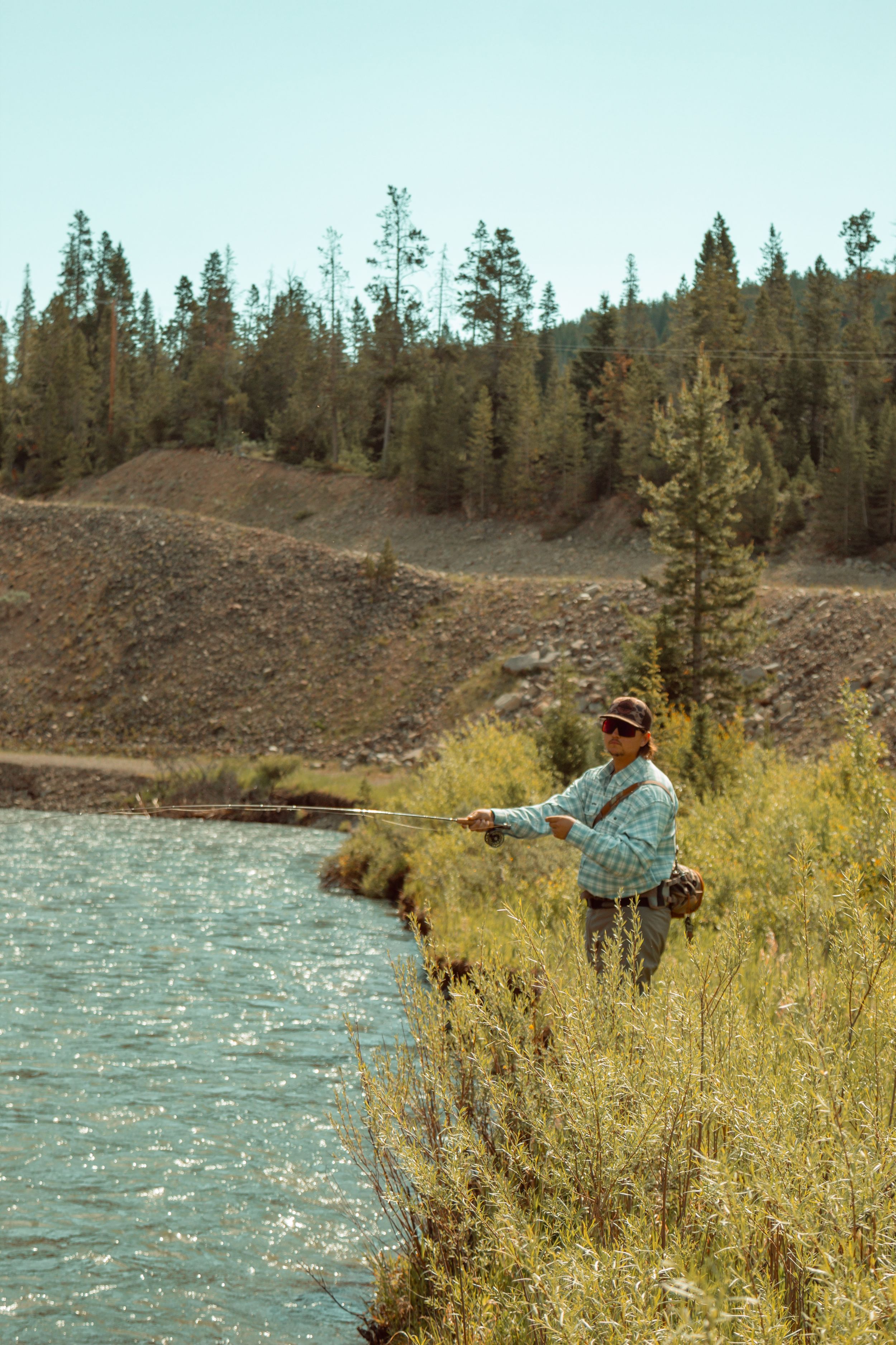 Angler fly fishing along a grassy riverbank with pine forest backdrop.