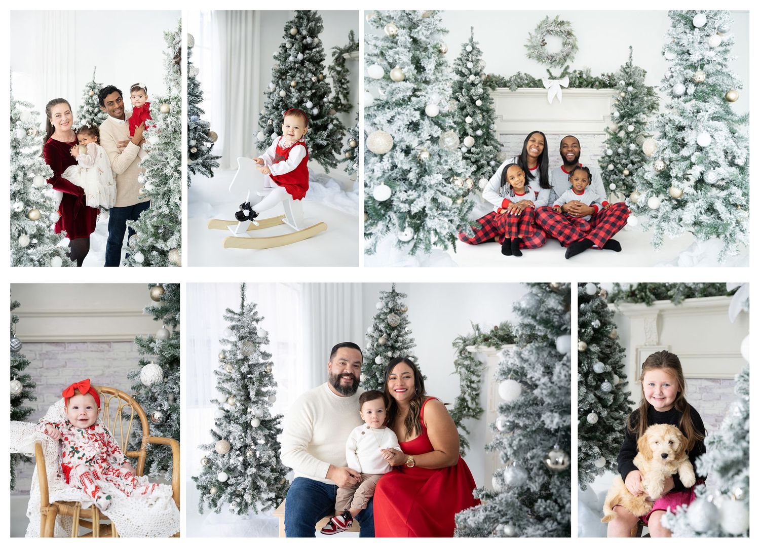 Families pose with snow-flocked Christmas trees in a bright white studio for festive holiday mini sessions.
