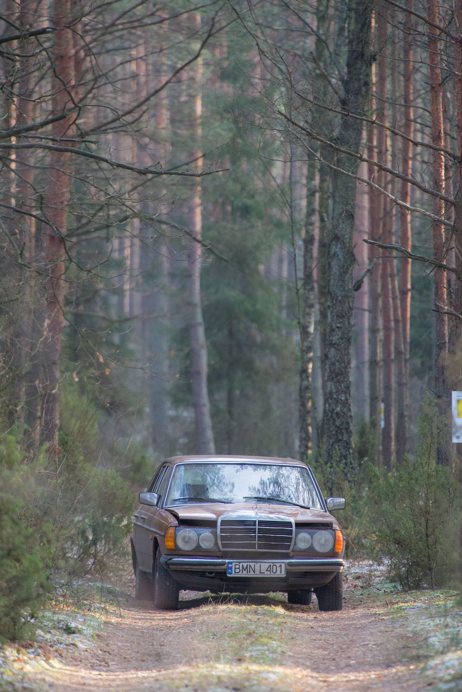 Auto d'epoca ferma su una strada sterrata nella foresta di pini polacca