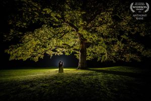 Wedding couple silhouetted against sunlit trees in a scenic outdoor garden setting in