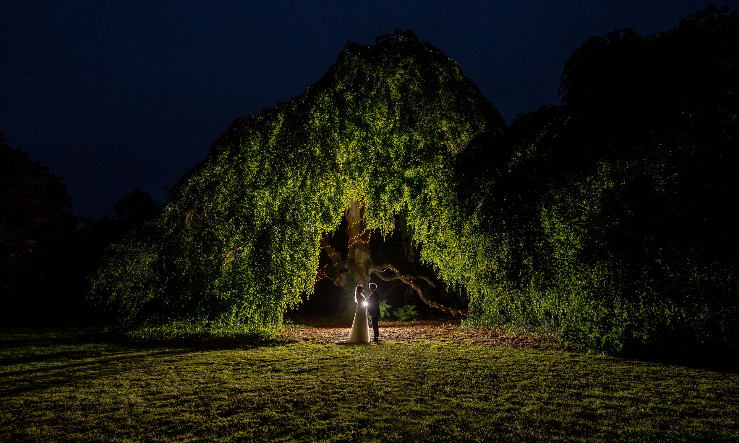 Dramatic night portrait under illuminated weeping willow tree creating magical wedding scene at Bellinter House.