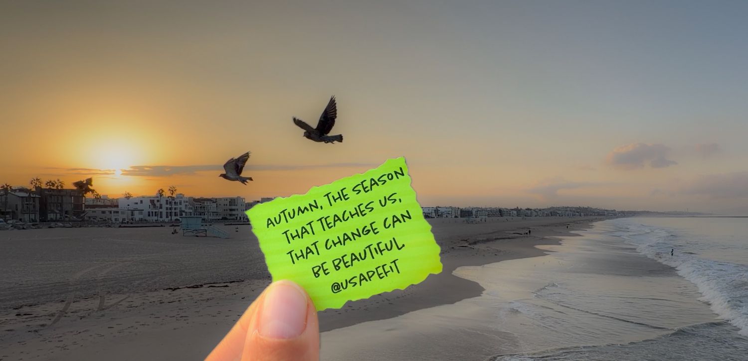 Hand holding a sticky note with autumn quote at sunset beach with birds flying over the ocean.