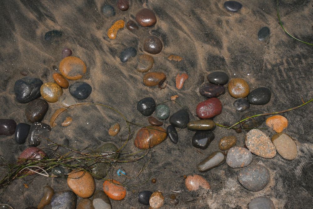 Colorful wet pebbles and stones scattered on sandy riverbed with green seaweed, natural beach rock collection.
