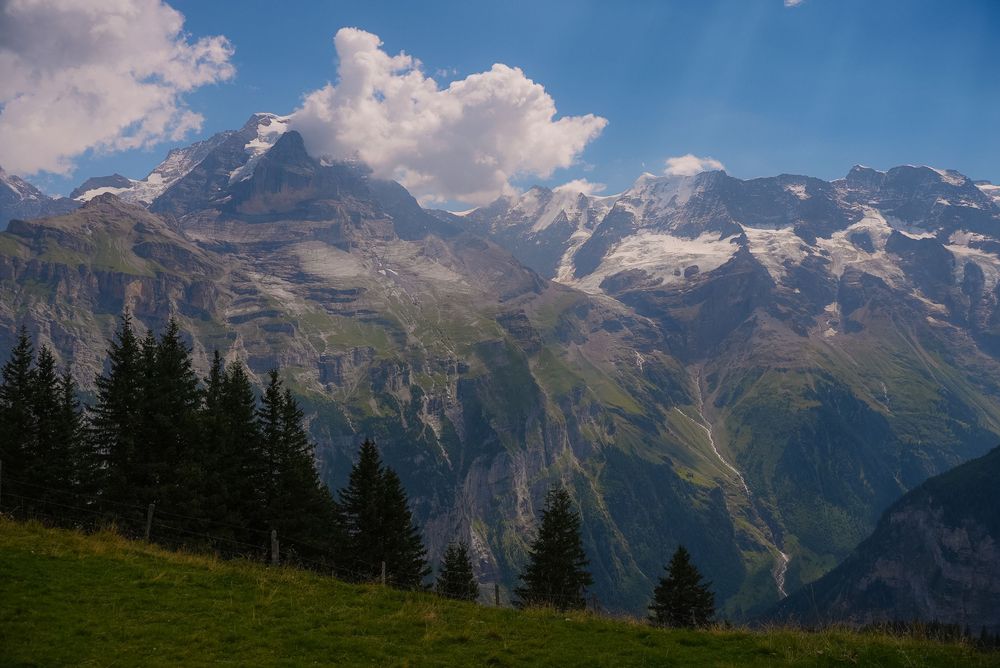 Scenic Alpine mountain landscape with snow-capped peaks, lush green meadows, and evergreen trees under a partly cloudy sky.