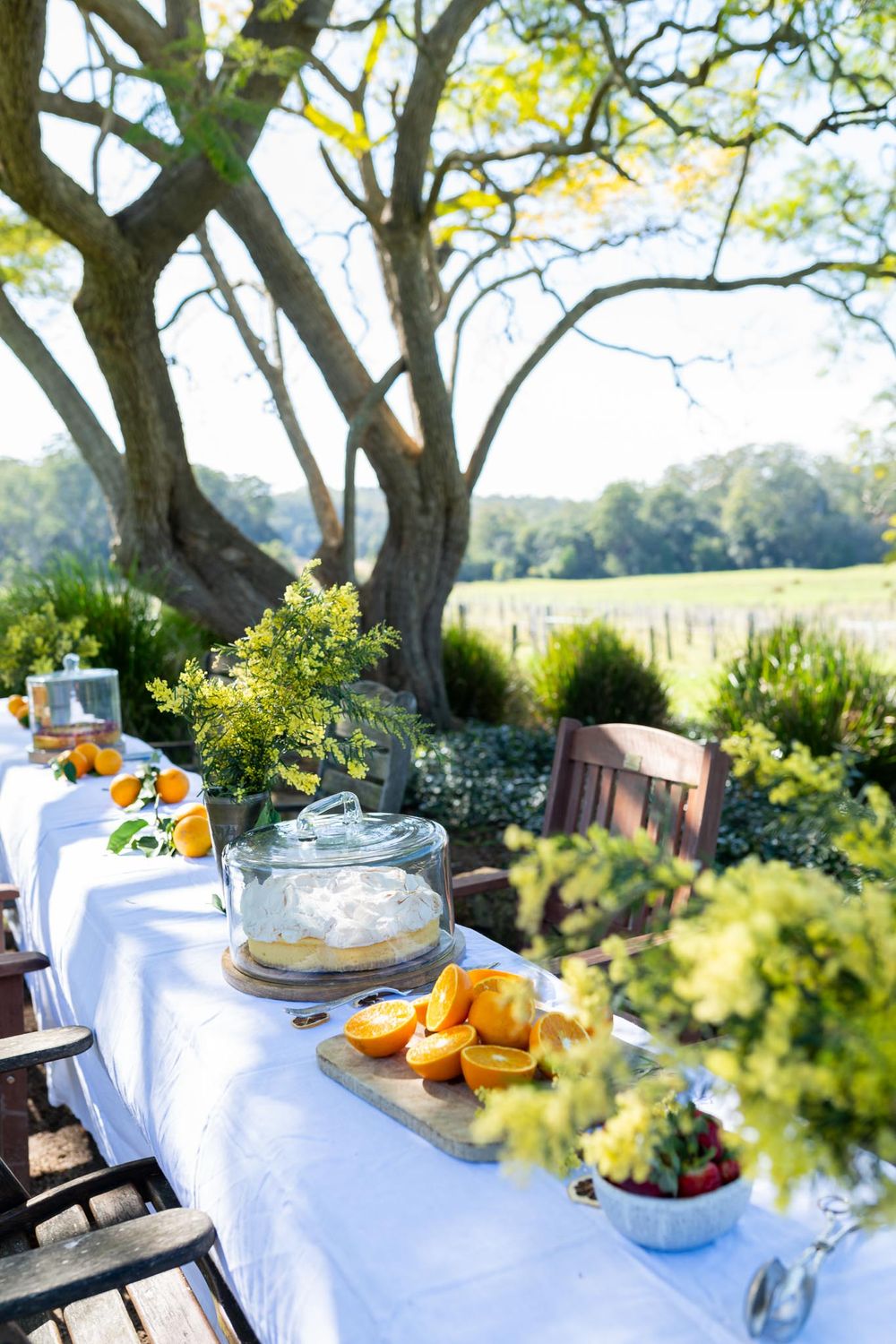 Outdoor garden table set with fresh oranges, a glass cake dome, and floral arrangements under a large tree.