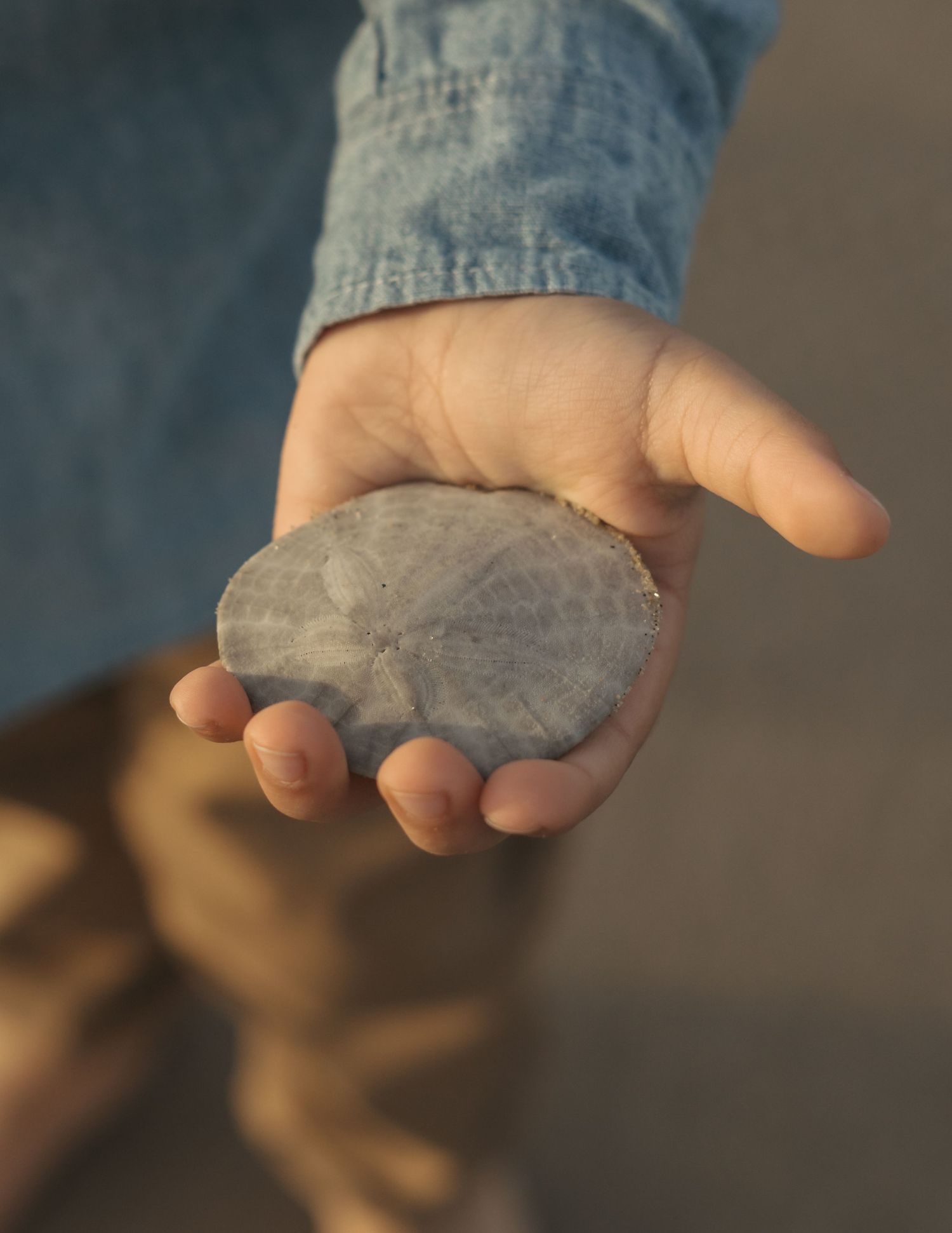 A child's hand holding a smooth flat gray rock outdoors, wearing a blue denim shirt and tan pants.