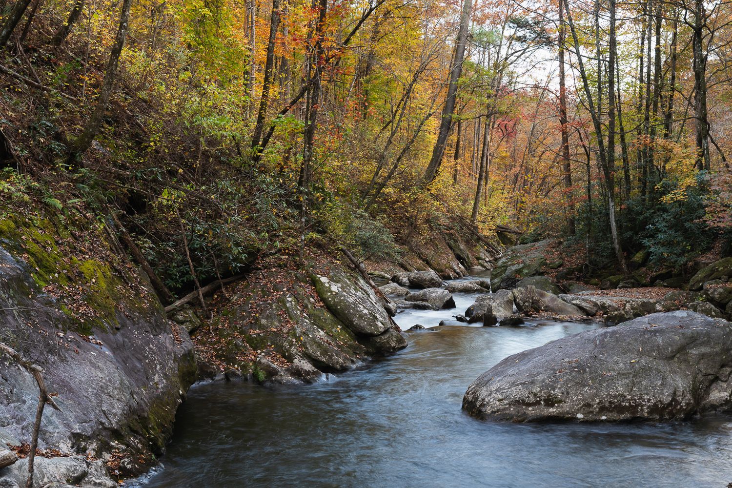 A serene autumn forest stream flows between large boulders, surrounded by colorful fall foliage in shades of orange and yellow.