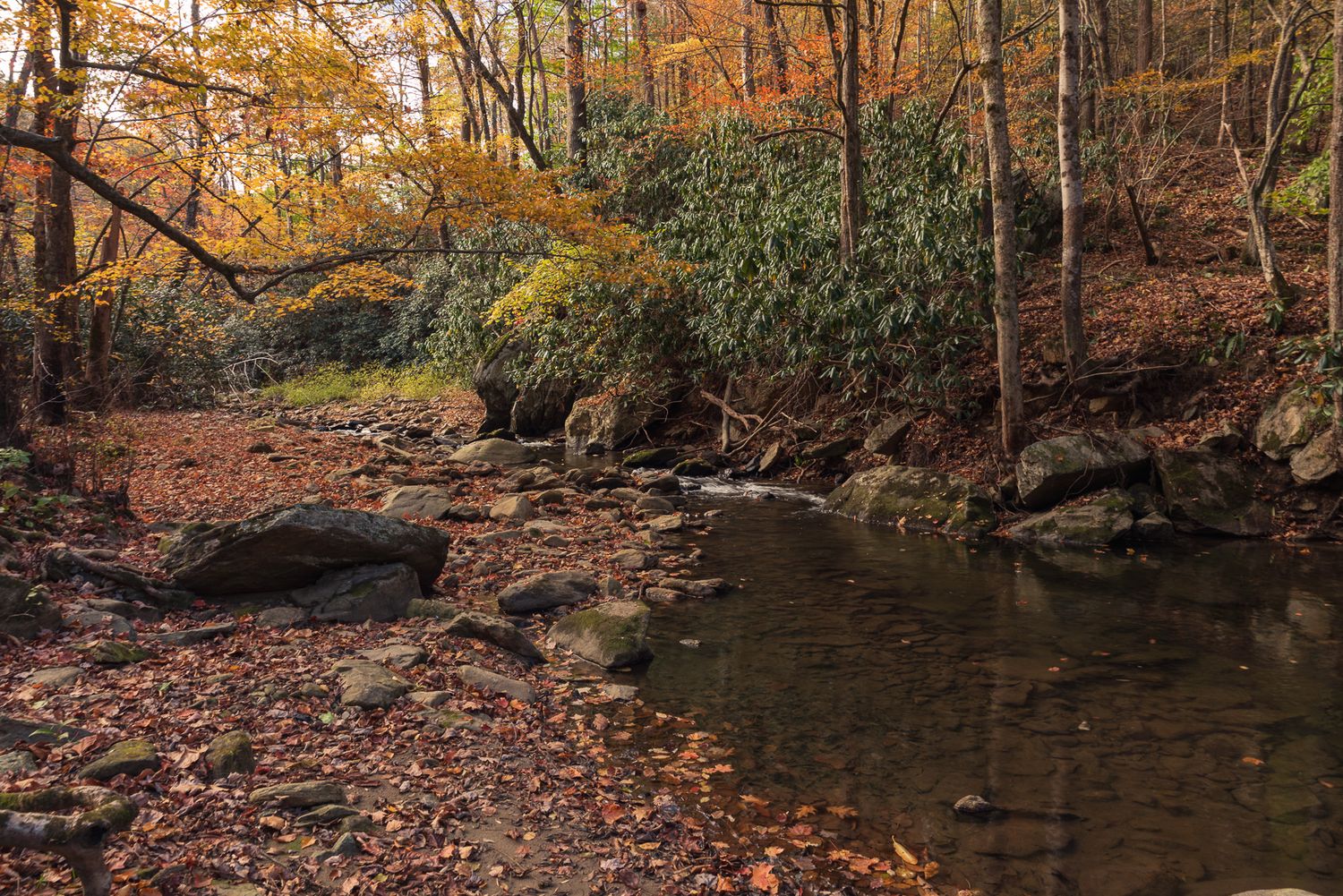 Autumn forest stream with rocky banks, fallen leaves, and colorful foliage in shades of orange, yellow, and green.