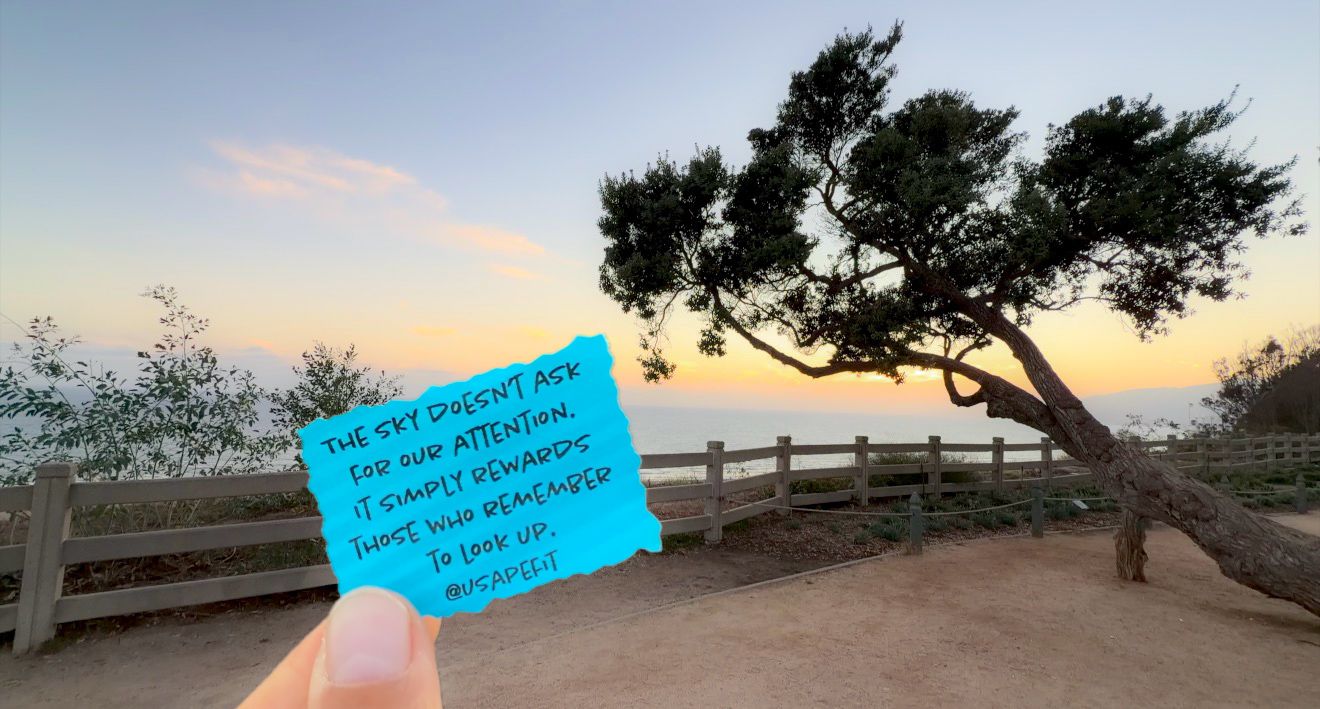 Hand holding a turquoise note card at sunset overlook with a windswept tree and wooden fence in background.