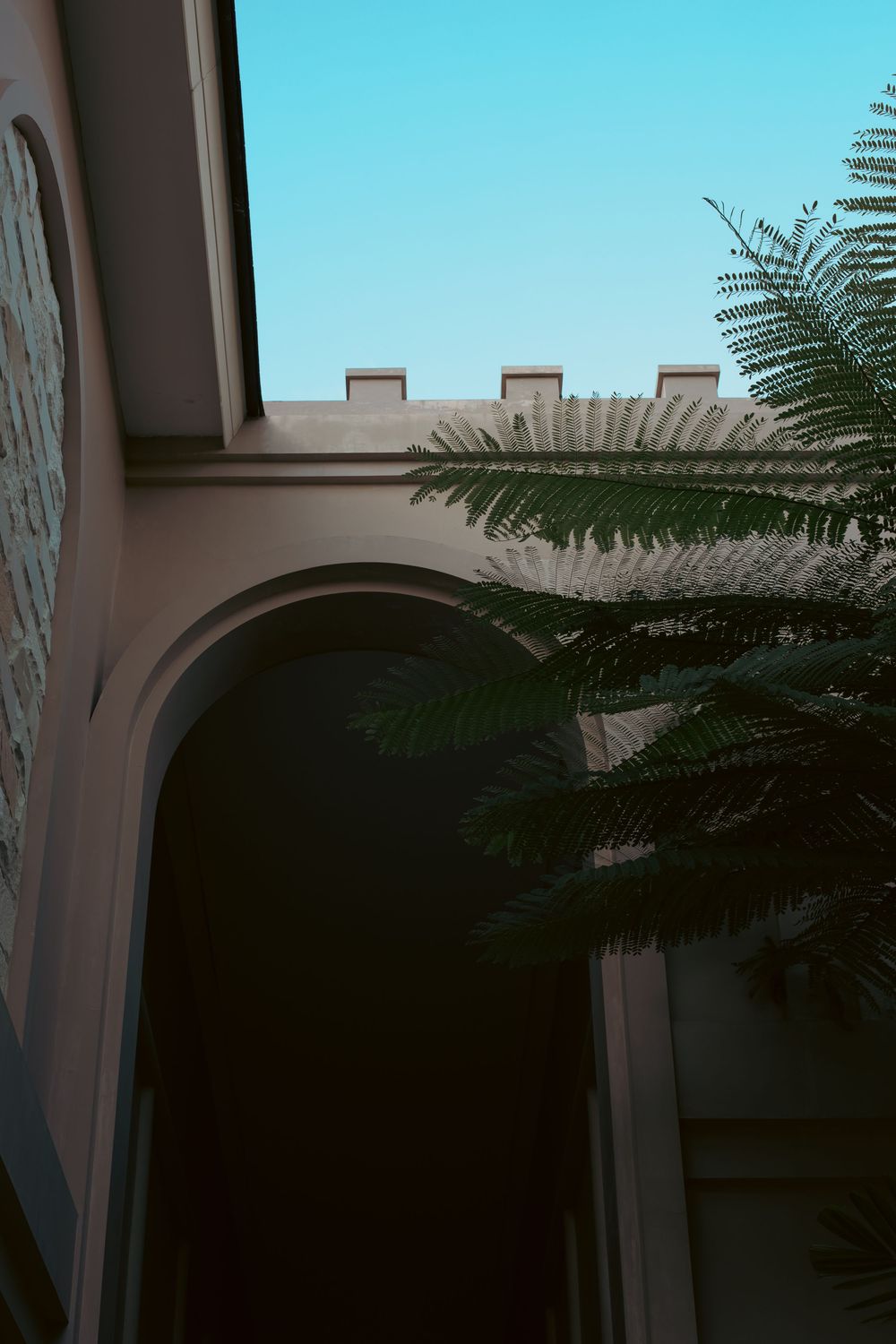 Architectural arch with decorative battlements against clear blue sky, framed by lush tropical fern leaves.