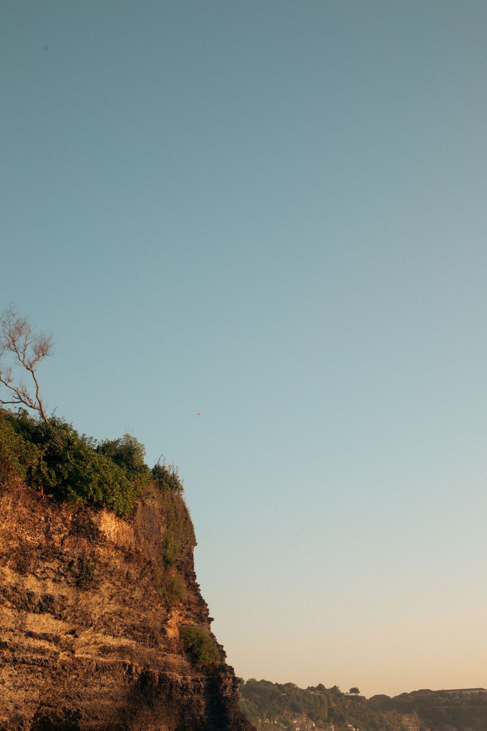Dramatic rocky cliff with lush green vegetation and bare tree against a clear blue sky at golden hour sunset.