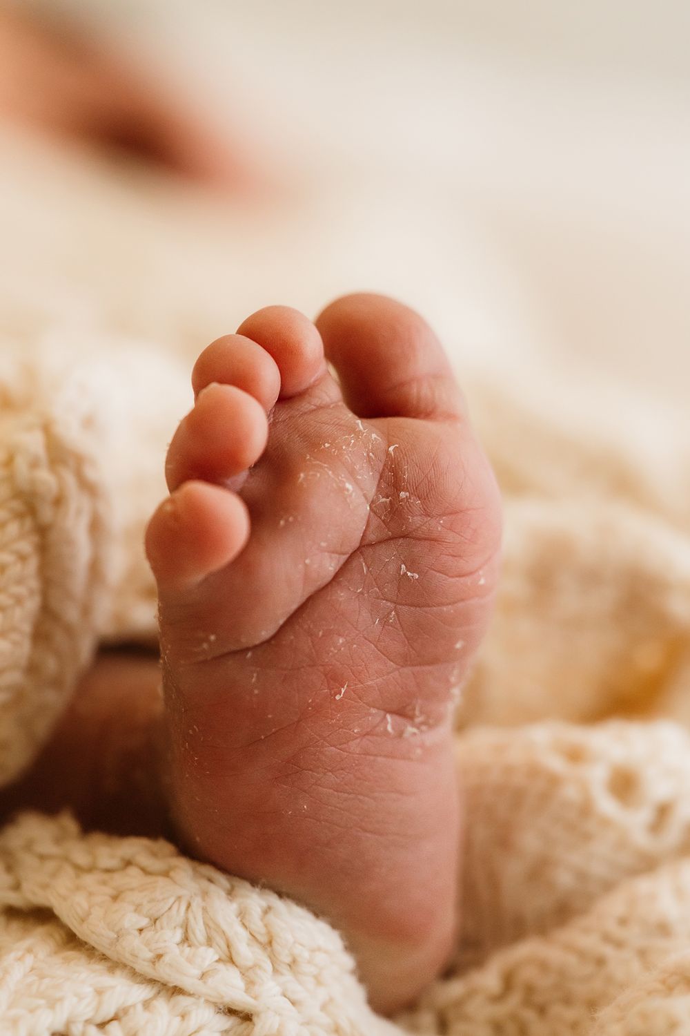 Newborn toes Sydney newborn photographer