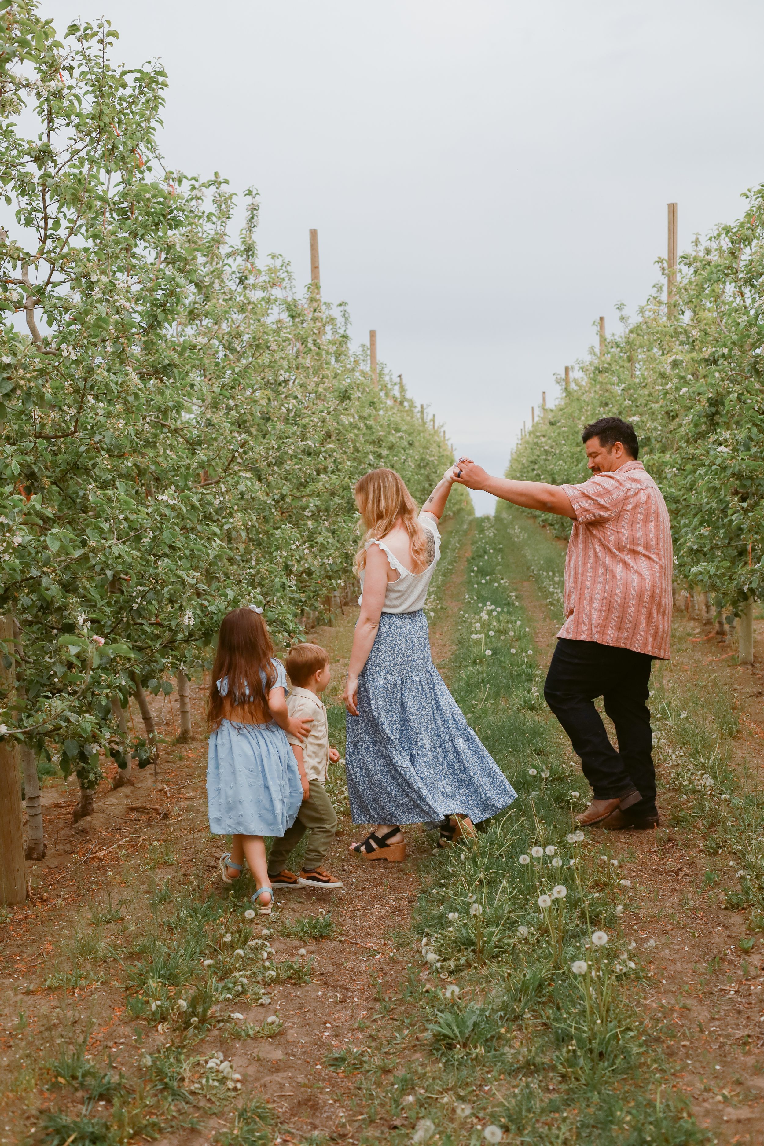 Playful family dancing and twirling between rows in an orchard.