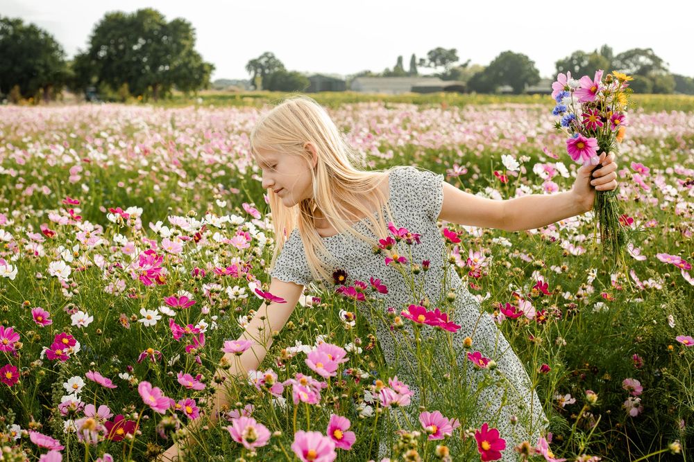 At Sam's Sunflowers on Hayling Island, Hampshire, a girl stands amongst the wildflowers.