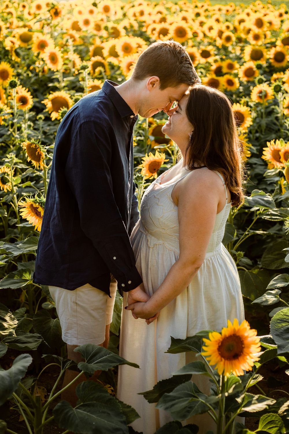 In a sunflower field on Hayling Island, Hampshire, couple touch foreheads in the flowers at sunset during Maternity photo session.