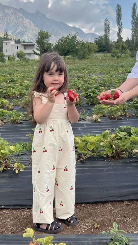 A cute toddler girl in a cherry-print jumpsuit picks fresh strawberries at a farm with mountains in the background.
