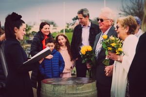 Golden Wedding Vow Renewal Babbacombe Downs, Torquay, Devon. Claire Austin Wedding Celebrant