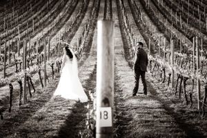 Wedding Photography Bride and Groom Old Walls Vineyard, Old Walls Hill, Bishopsteignton