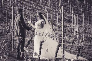 Wedding Photography Bride and Groom Old Walls Vineyard, Old Walls Hill, Bishopsteignton