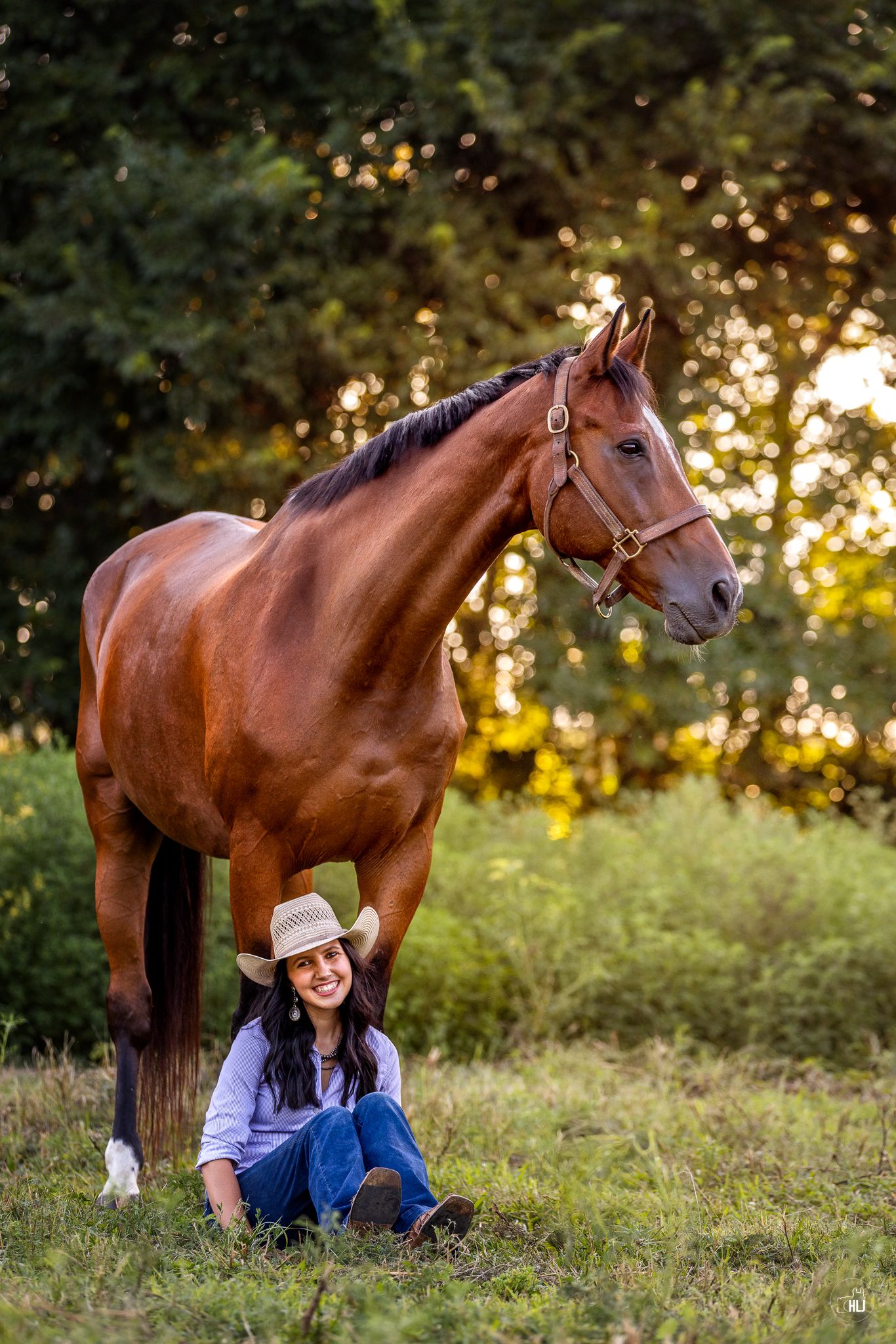 Chestnut horse and rider pause in sunlit autumn field.