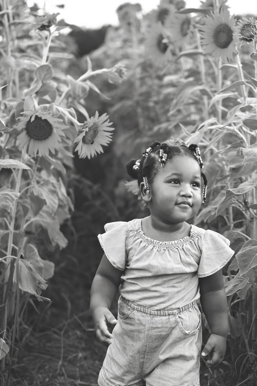 outdoor toddler portrait