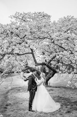 Black and white wedding photos – classic, elegant, and unforgettable images.