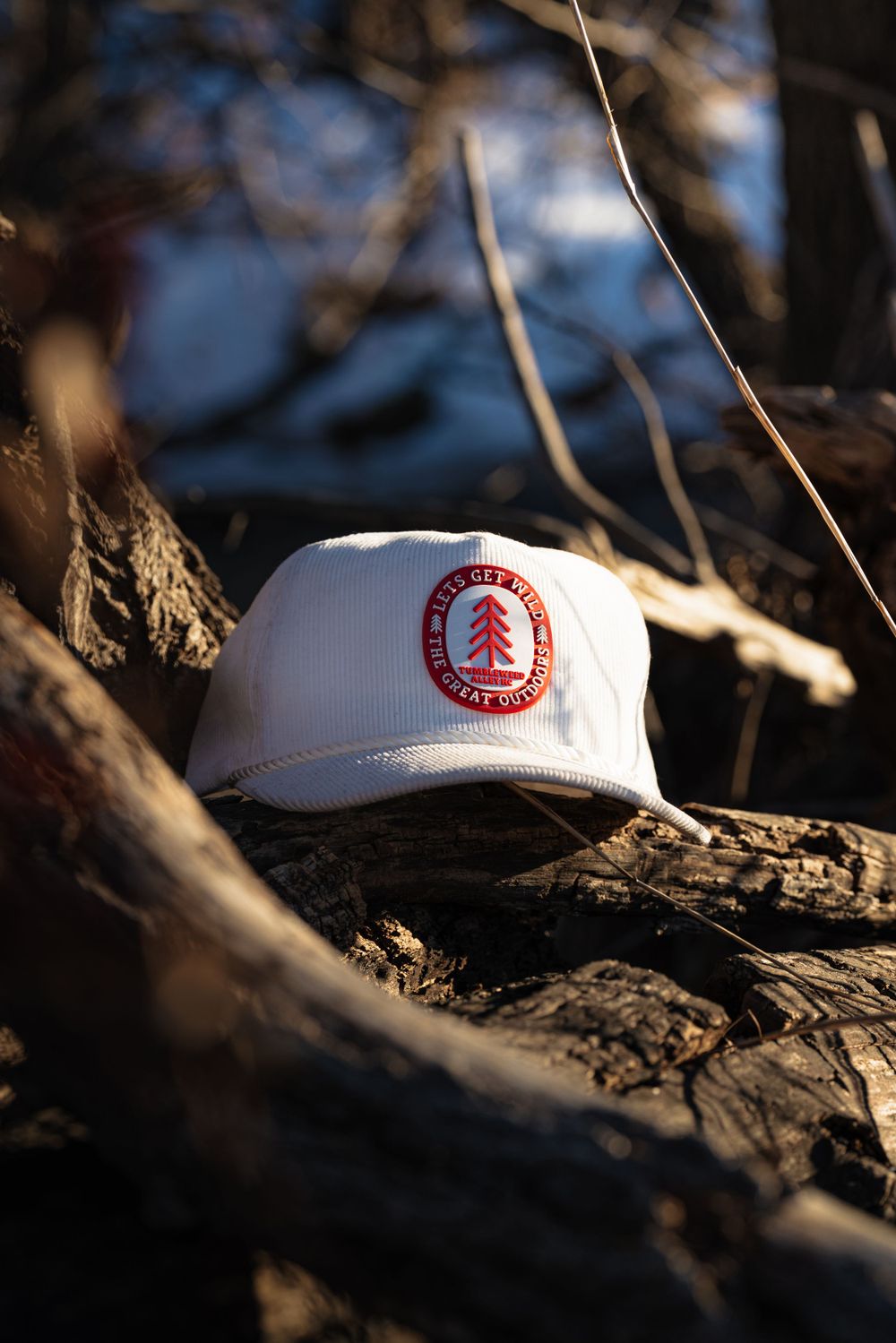 White baseball cap with red circular Stanford University logo resting on textured tree bark in natural lighting.