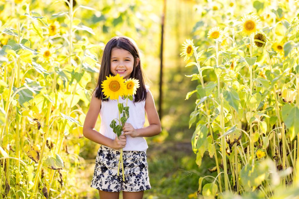 Young girl holding sunflowers in a bright yellow sunflower field. Photos by Tampa Photographer DigitalMyst Photography