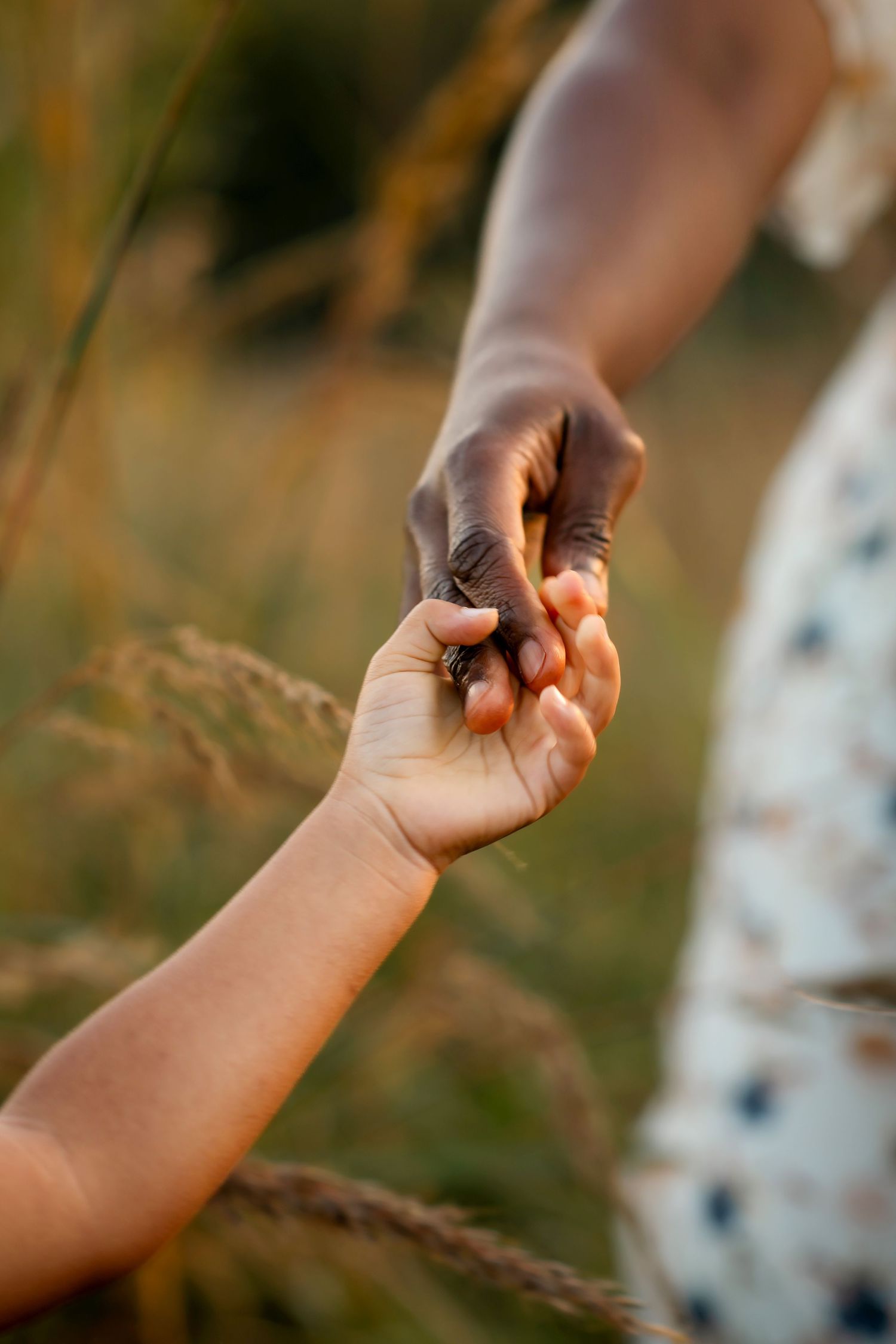 Two hands, mother and daughter, tenderly holding each other against a warm sunset background with tall grass in soft focus.