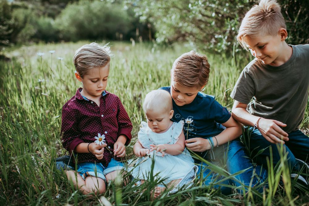 Children sitting together in tall grass on a sunny afternoon. best sarasota family photographer