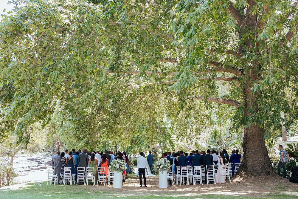 Outdoor wedding ceremony setup with white chairs under a large tree.