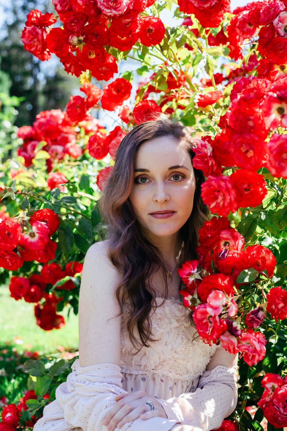 A woman in a light, elegant dress sits gracefully among vibrant red roses, surrounded by lush greenery, with sunlight highlighting her.