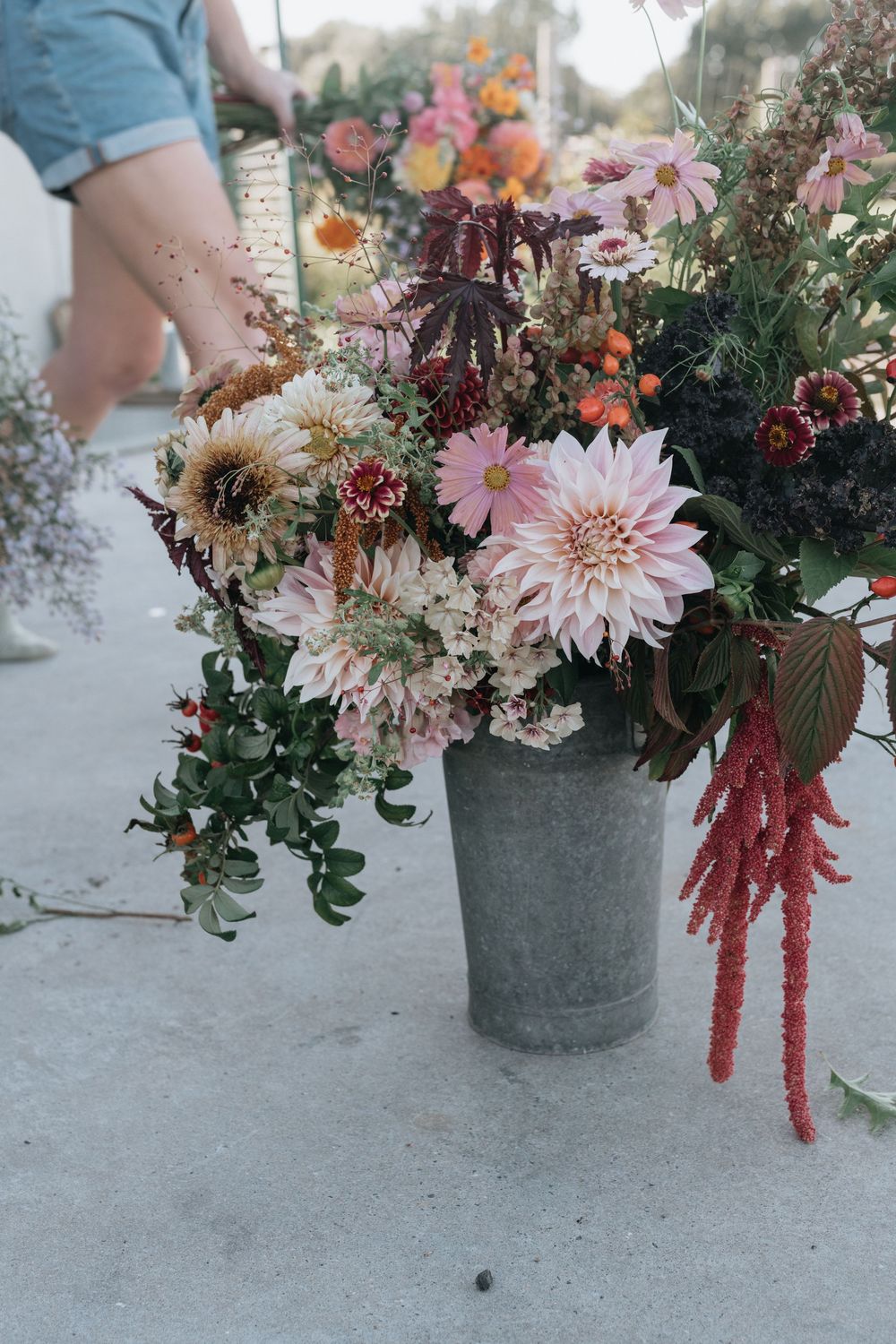 Beautiful floral arrangement with dahlias and hanging amaranth in rustic metal bucket.