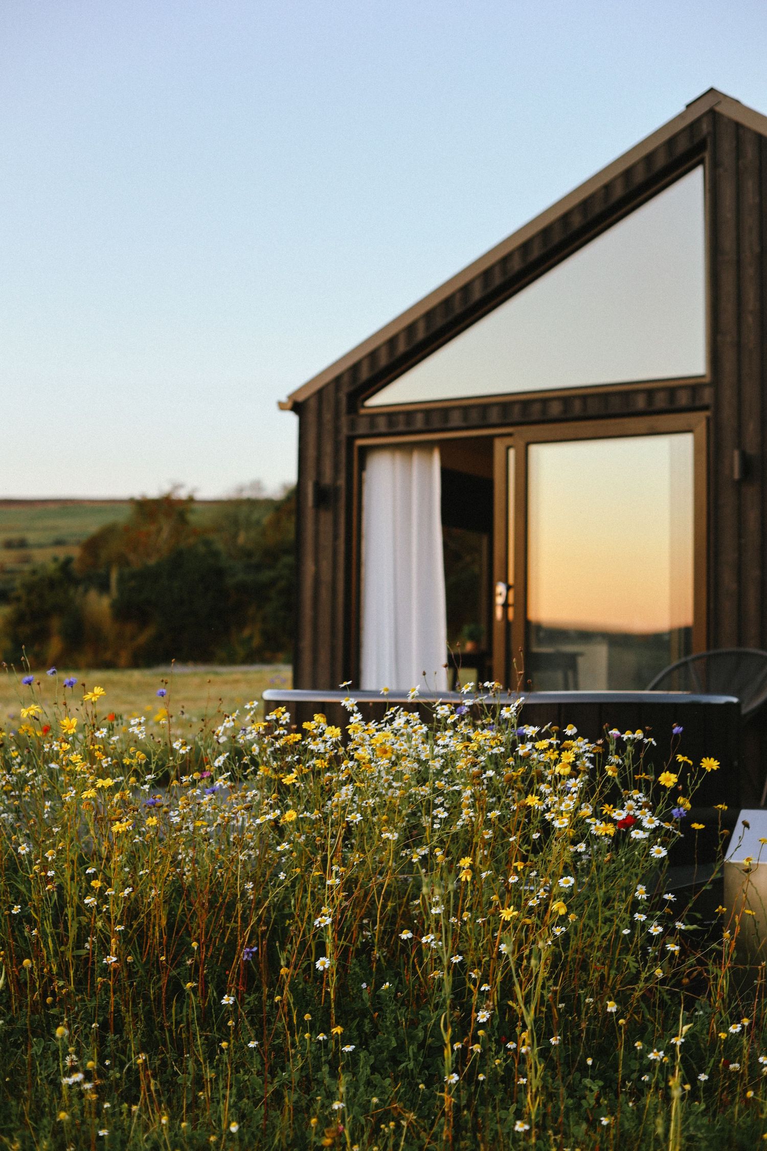 A modern cabin with wildflowers in the foreground during golden hour.
