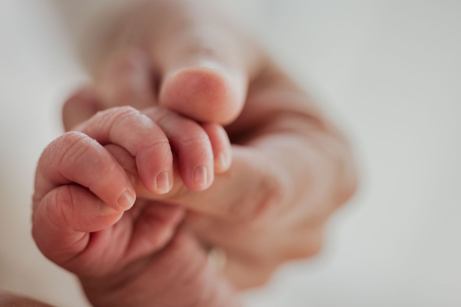 Newborn details in Zionsville, Indiana