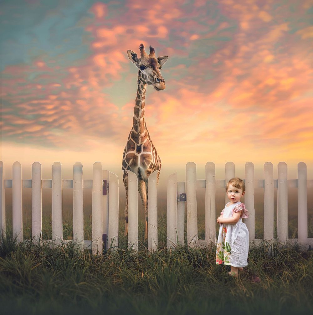 Inverness, FL Photographer