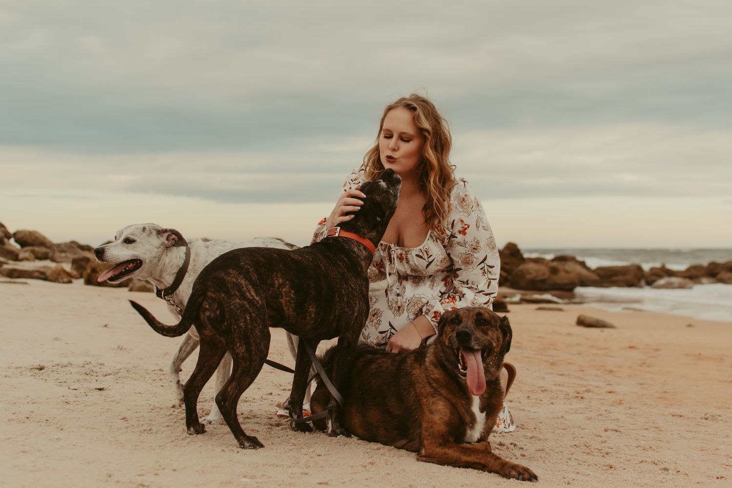 A person and their dog playing together on a scenic beach during golden hour.