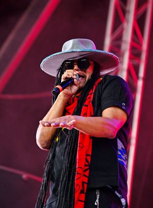 performing on stage at Reggaeland
