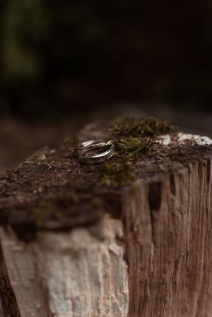 wedding bands balanced on a rustic moss covered log