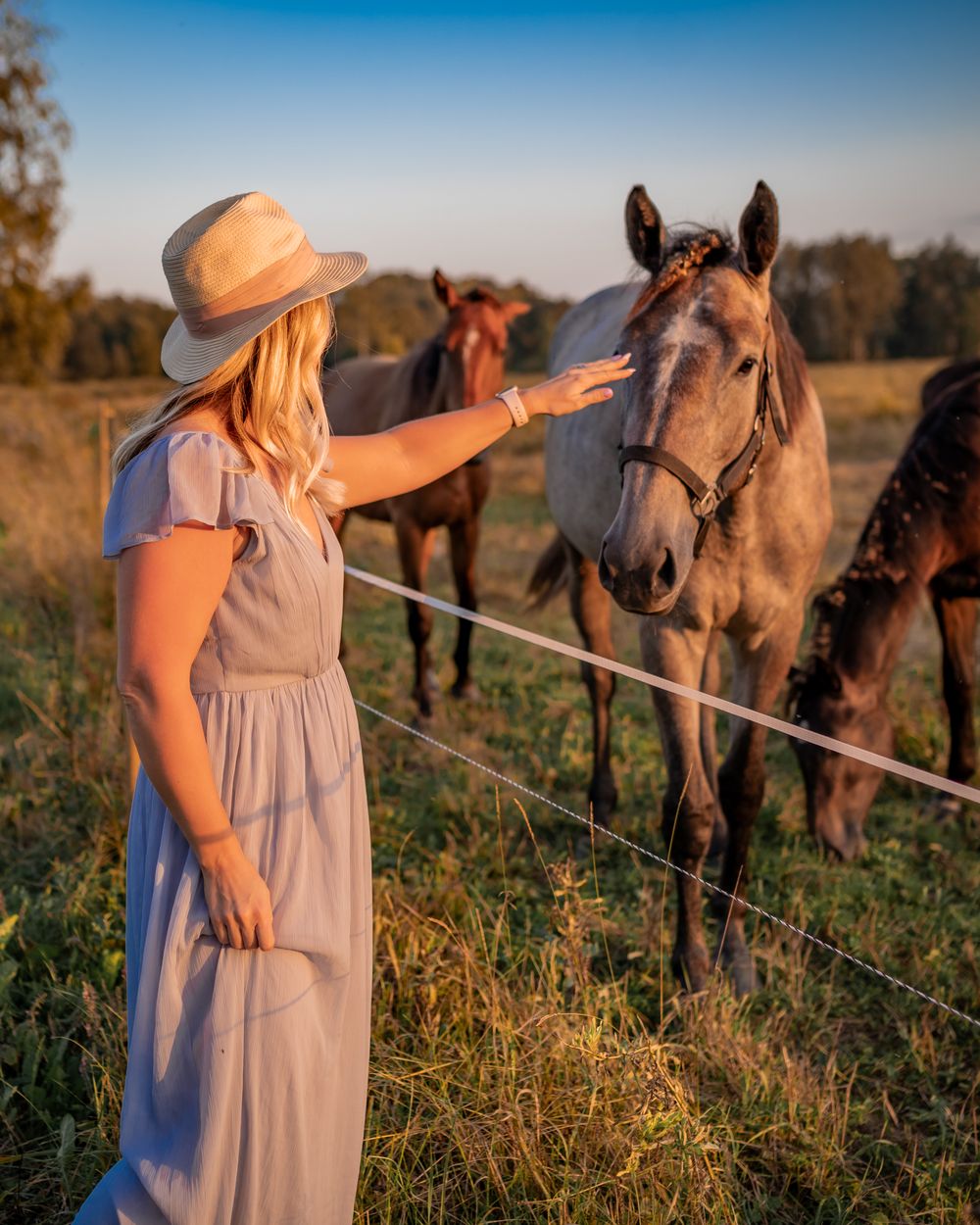 A woman in a white hat and gray dress gently pets a gray horse by a fence in a sunny field.