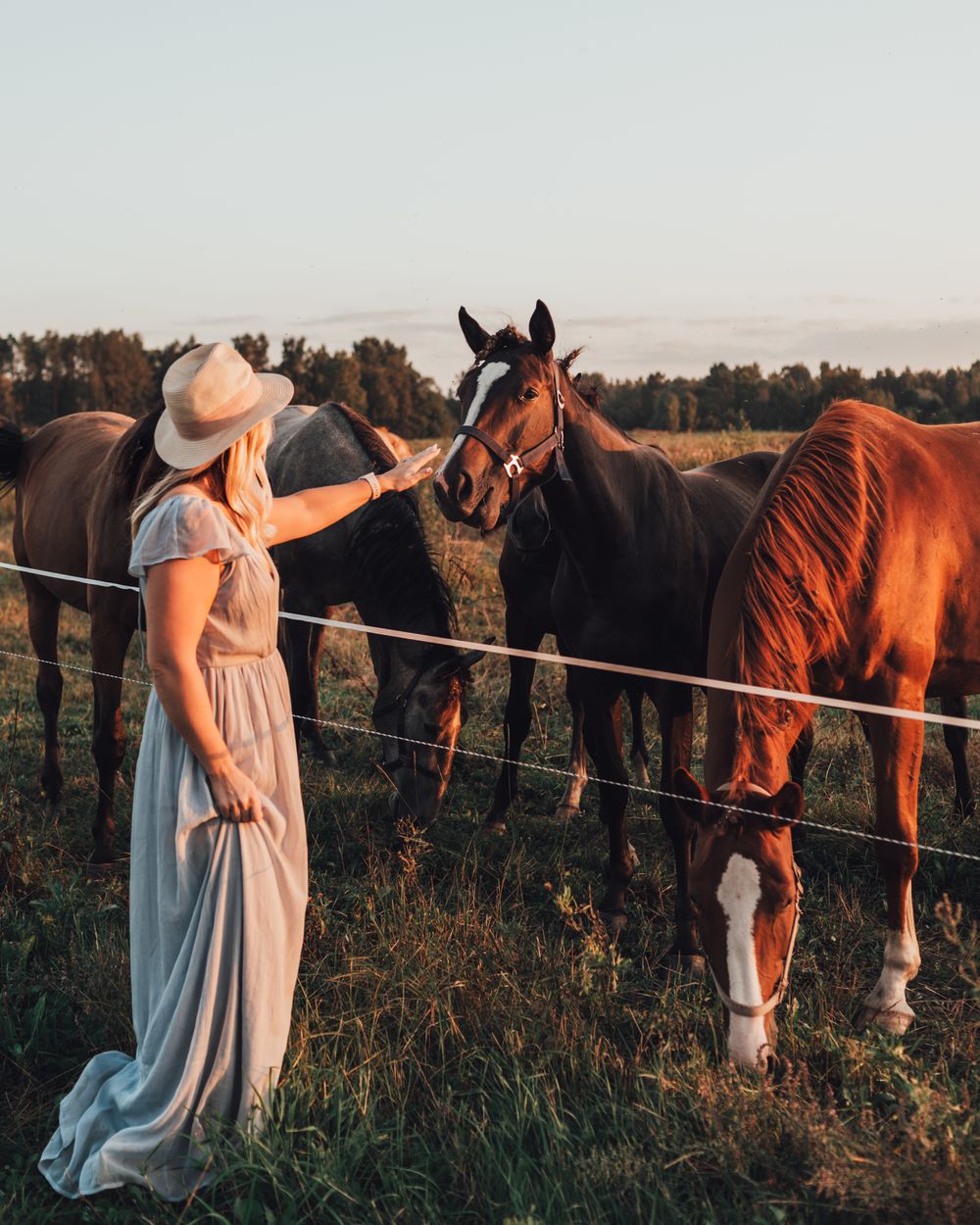 Woman in white dress and hat petting chestnut horse at fence during golden hour with dark horses in background.