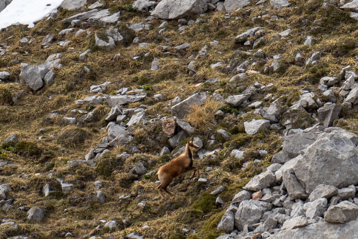 Rocky mountain terrain with scattered boulders and sparse vegetation in an alpine setting.