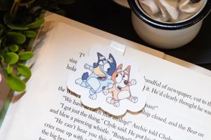 Open book pages with decorative floral illustrations and text visible.