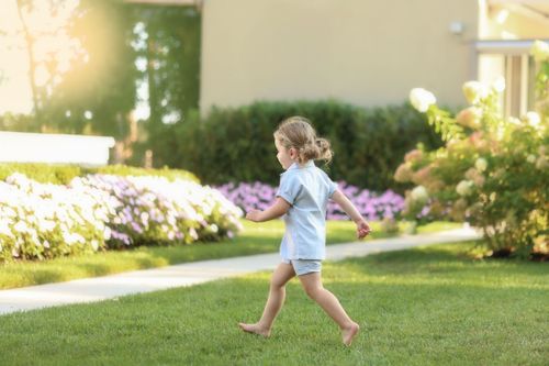 milestone candid photo of a pre upsherin boy with his hair in pigtails running thru a manicured garden